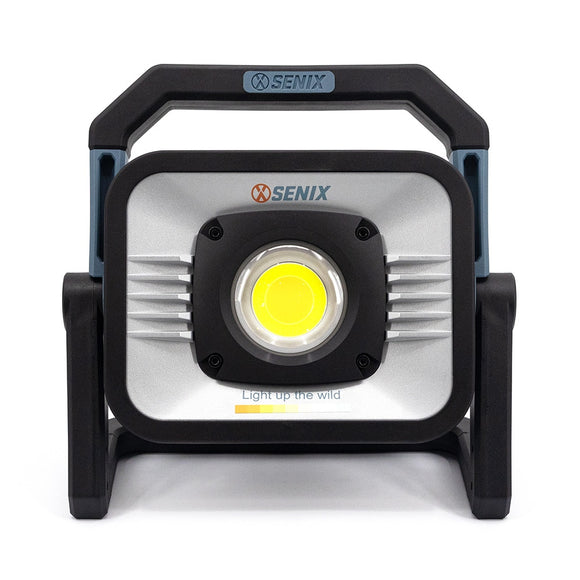 X2 18V Task Light SKIN