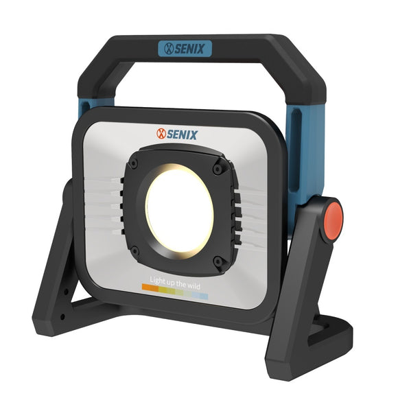 X2 18V Task Light SKIN