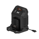 X6 60V 8A Dual Battery Charger-2