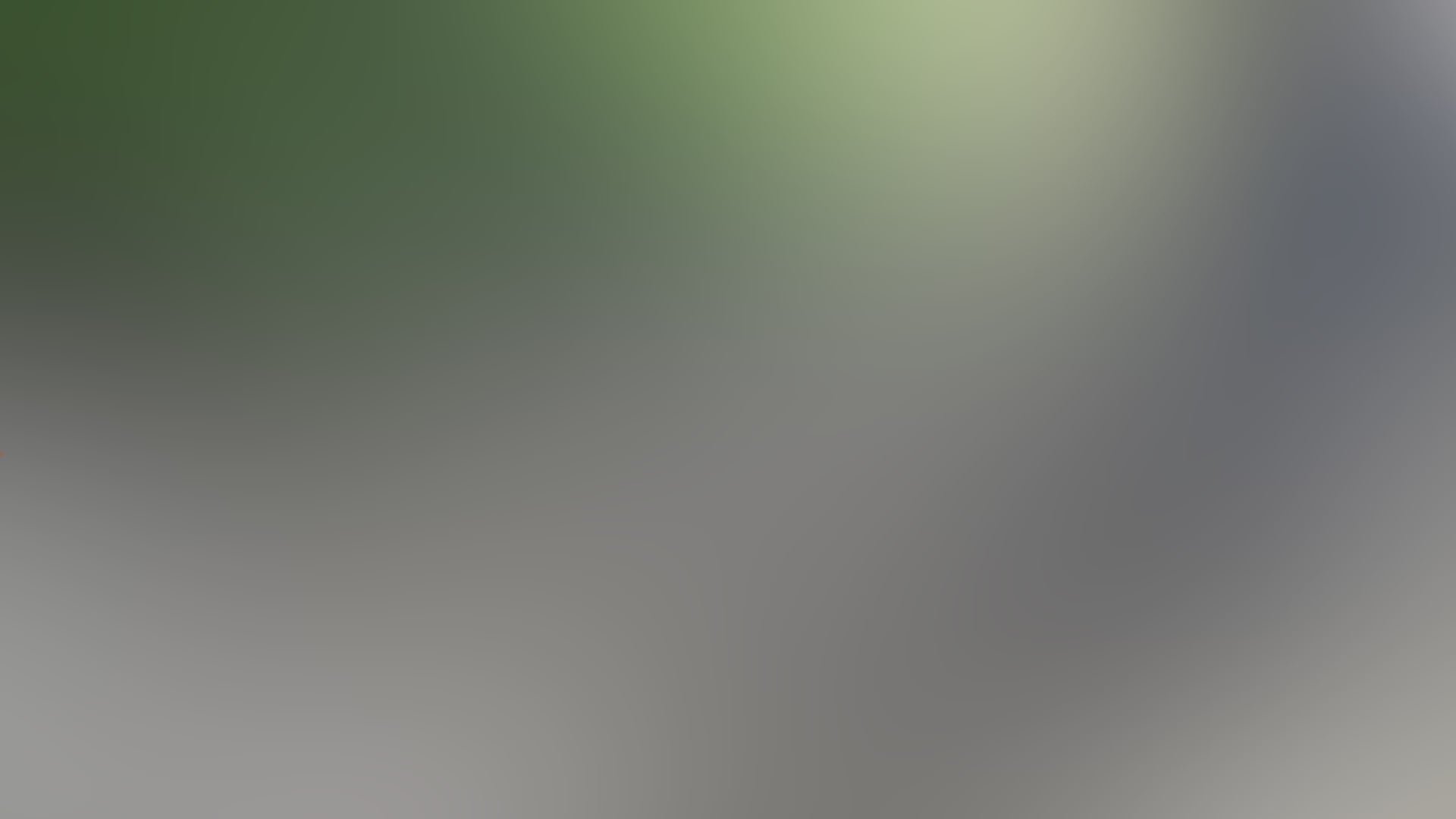 2b41f4a7a6e34a4eb1ff4168ba33a040