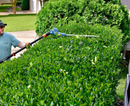 X2 18V Hedge Pole Saw SKIN - Senix