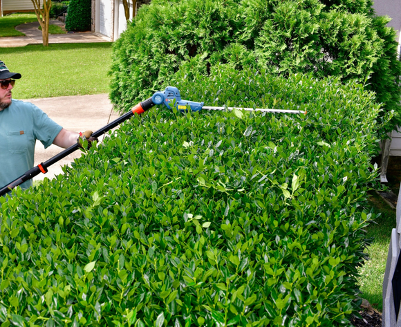 X2 18V Hedge Pole Saw SKIN - Senix
