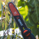 X2 18V Pole Saw 2.0Ah Kit - Senix