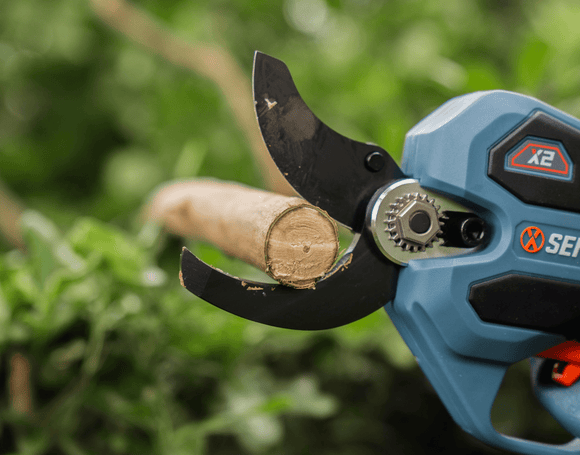X2 18V Pruning Shear Saw SKIN - Senix