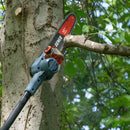 X6 60V Pole Saw SKIN - Senix